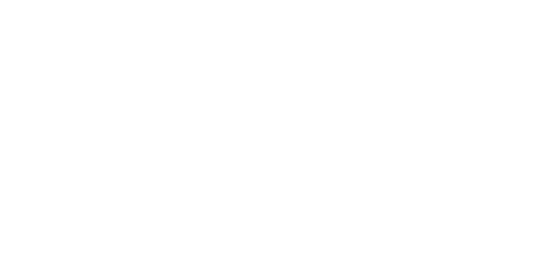 logo traveiling chef